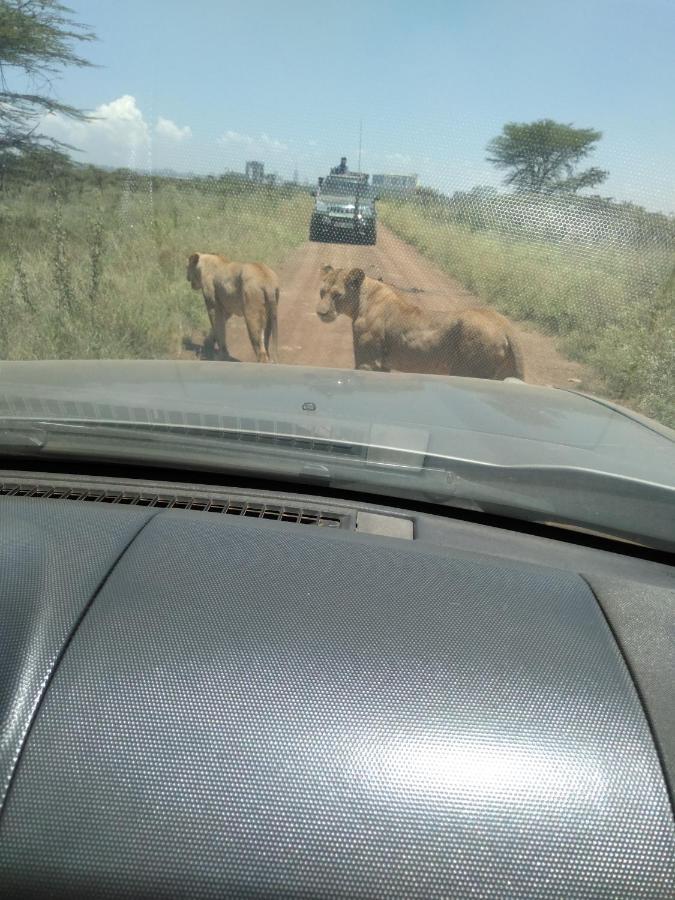 Kepro Farm Lejlighed Nairobi Eksteriør billede